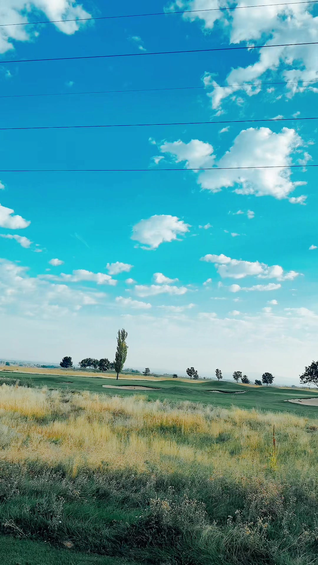 @cactusjacklaflame🏜