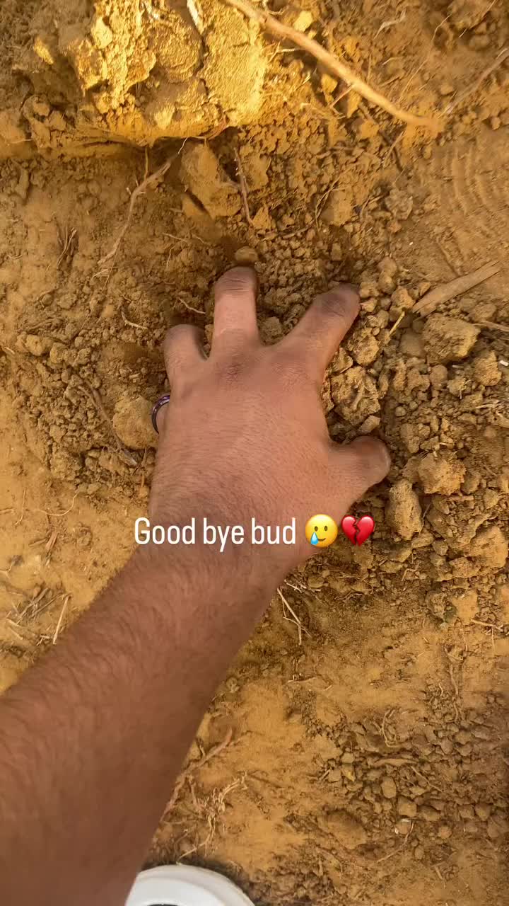 @mt_07guy