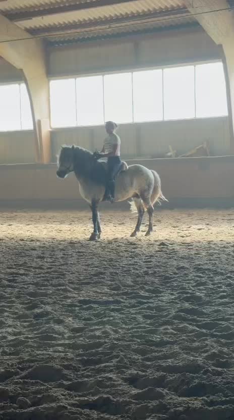 @Horses