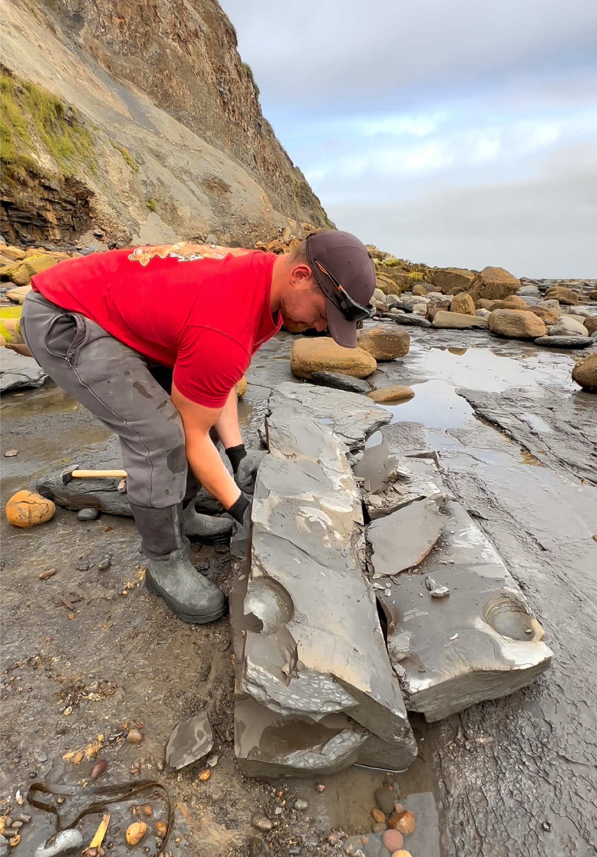 @yorkshire.fossils