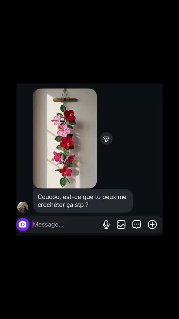 @Kapitaine Crochet 🌺
