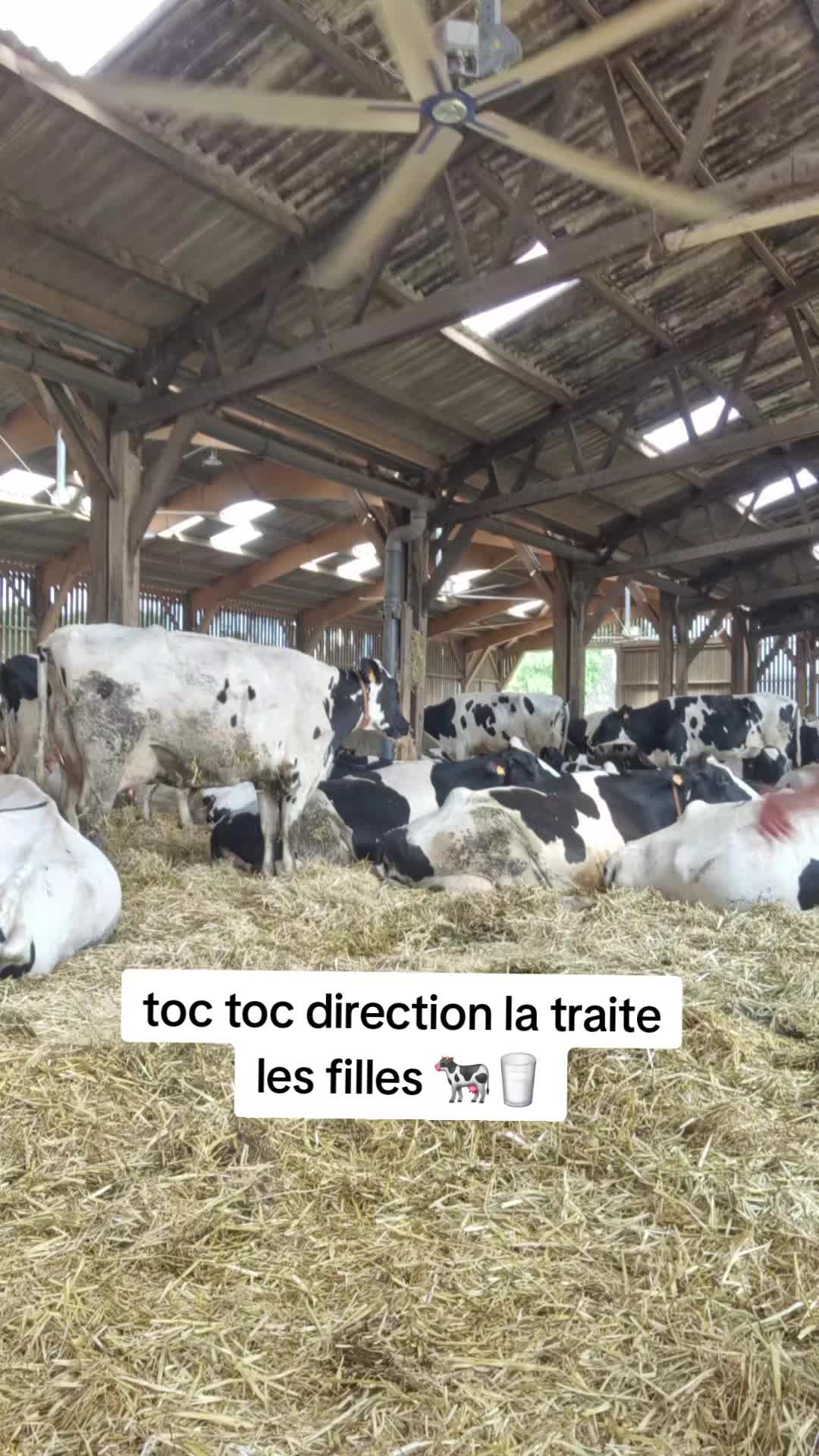 @Céline