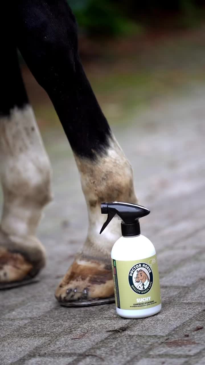 @Doctor Horse