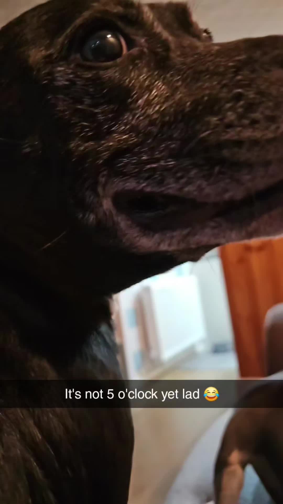 @Hayltx