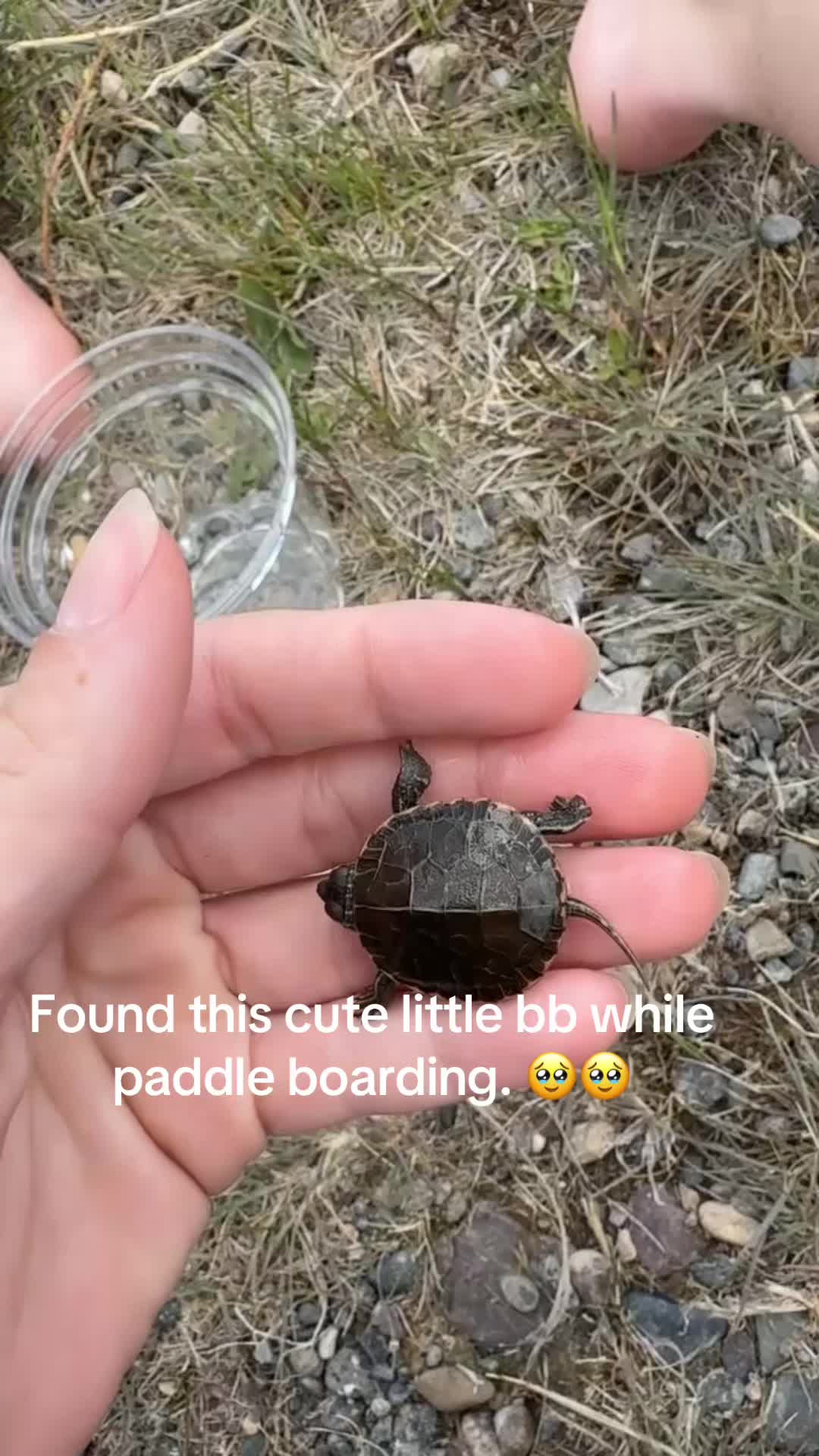 @mthockeymom1