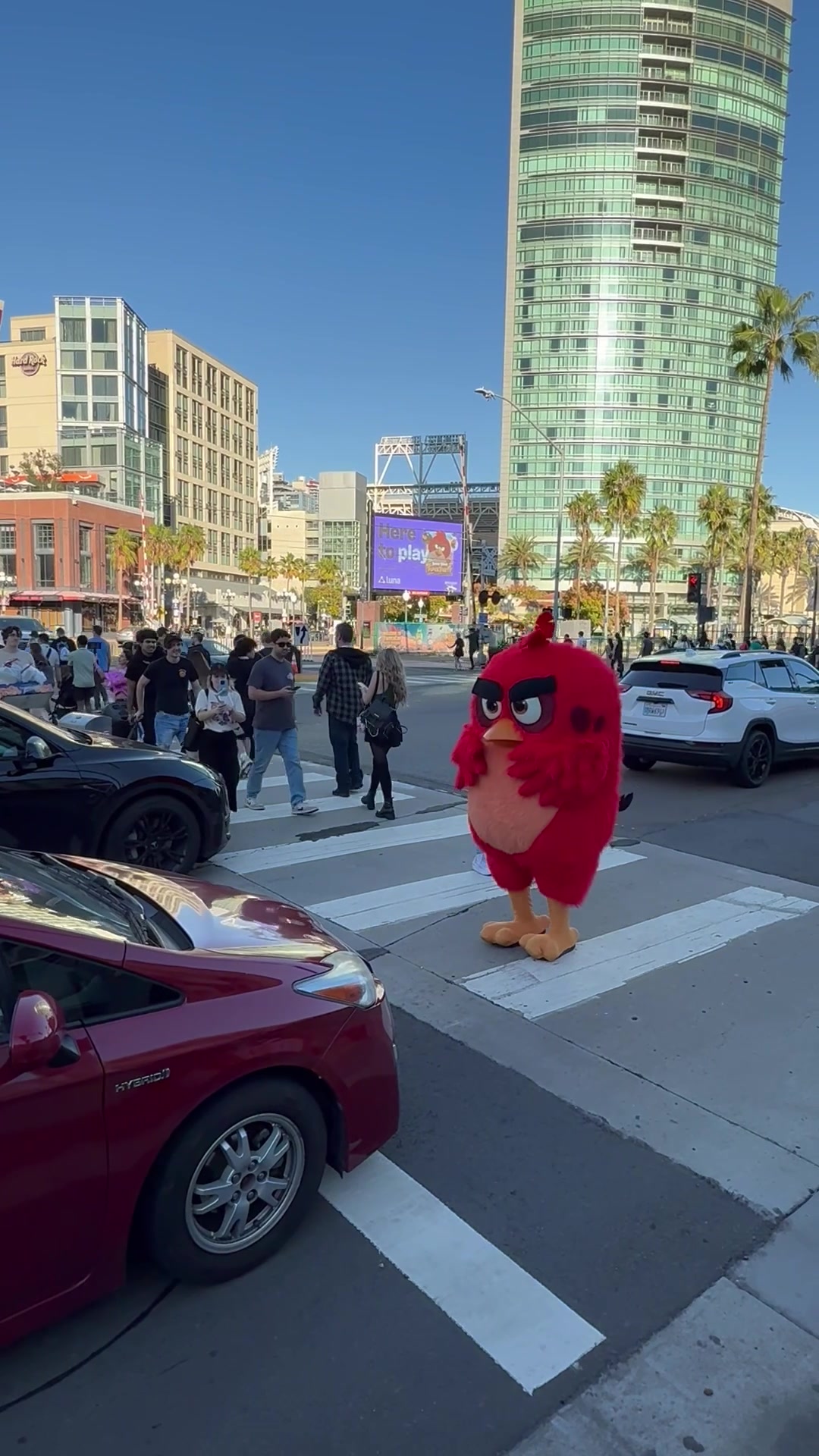 @Angry Birds