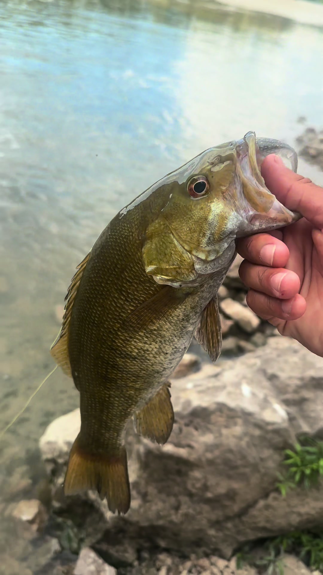 @BigBassFish