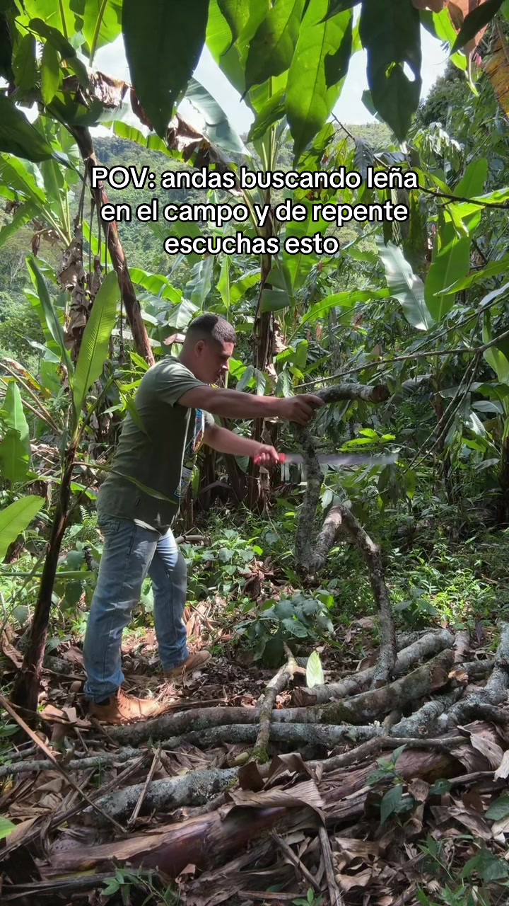 @el higuita