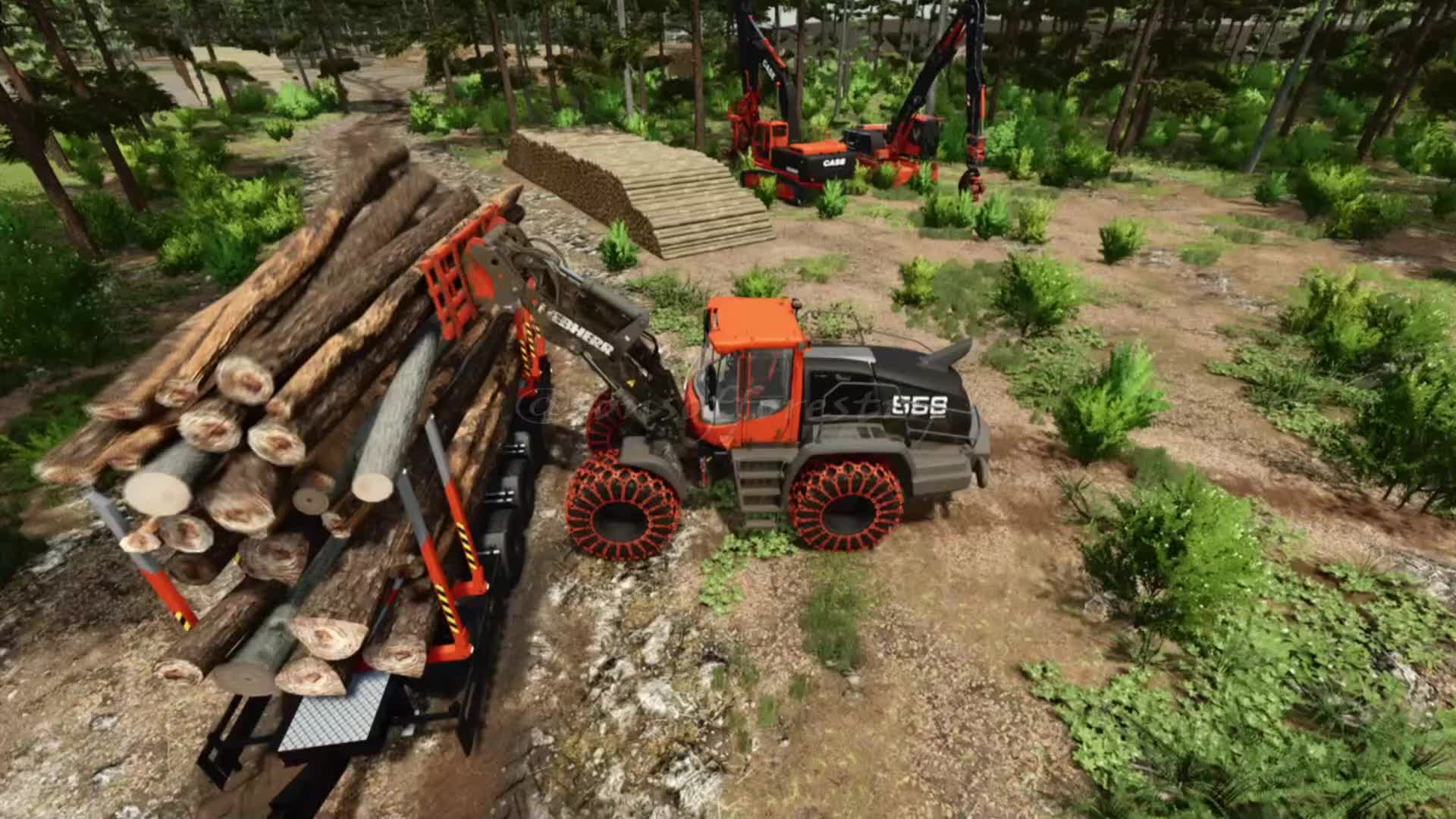 @SONS OF FORESTRY