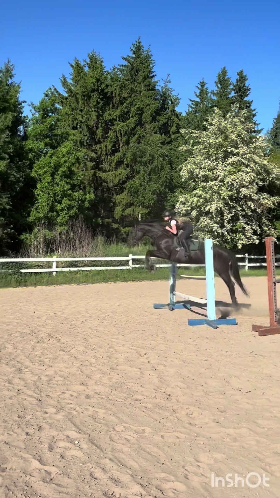 @💋🐴