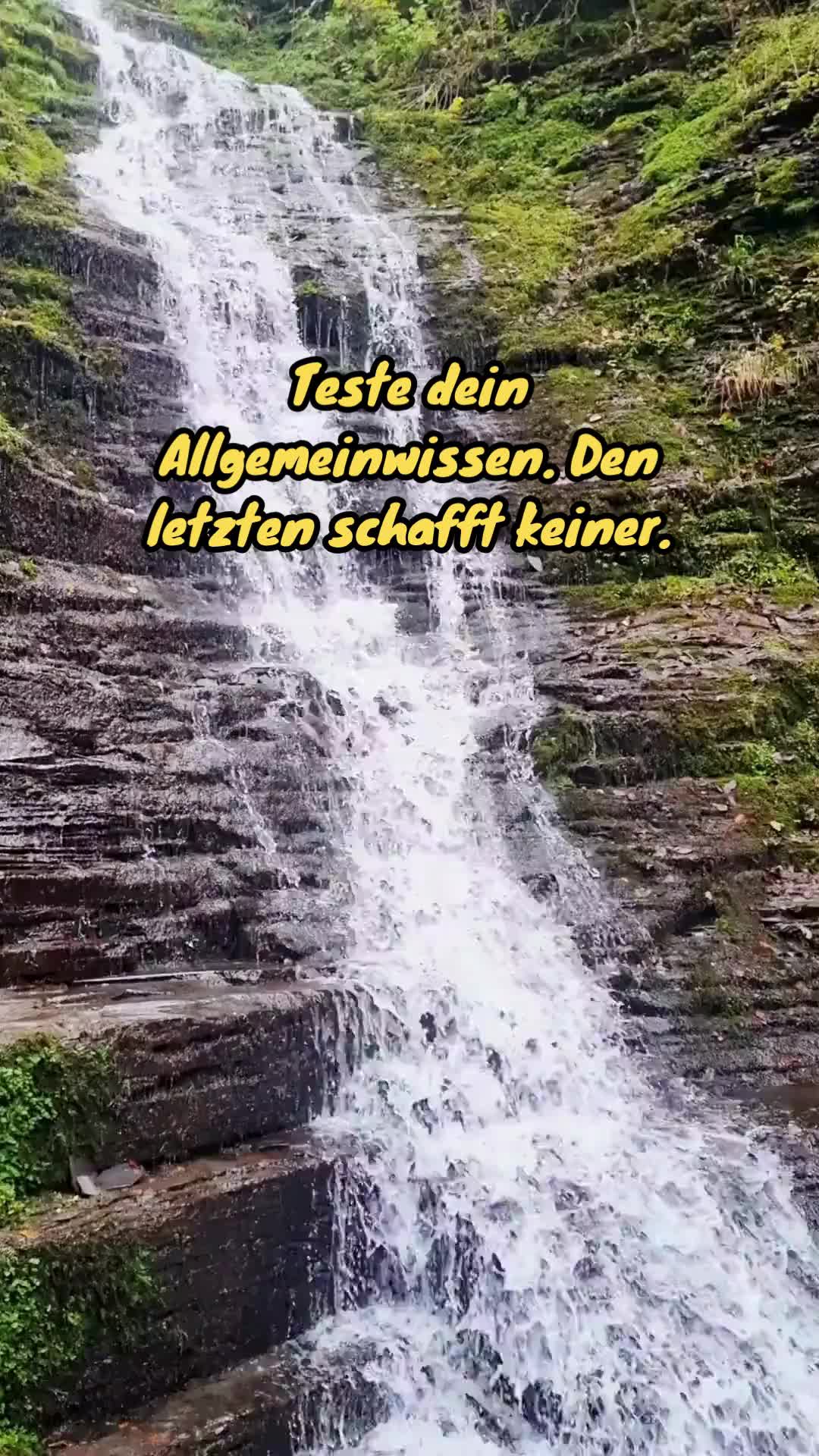@DailyQuizMaster