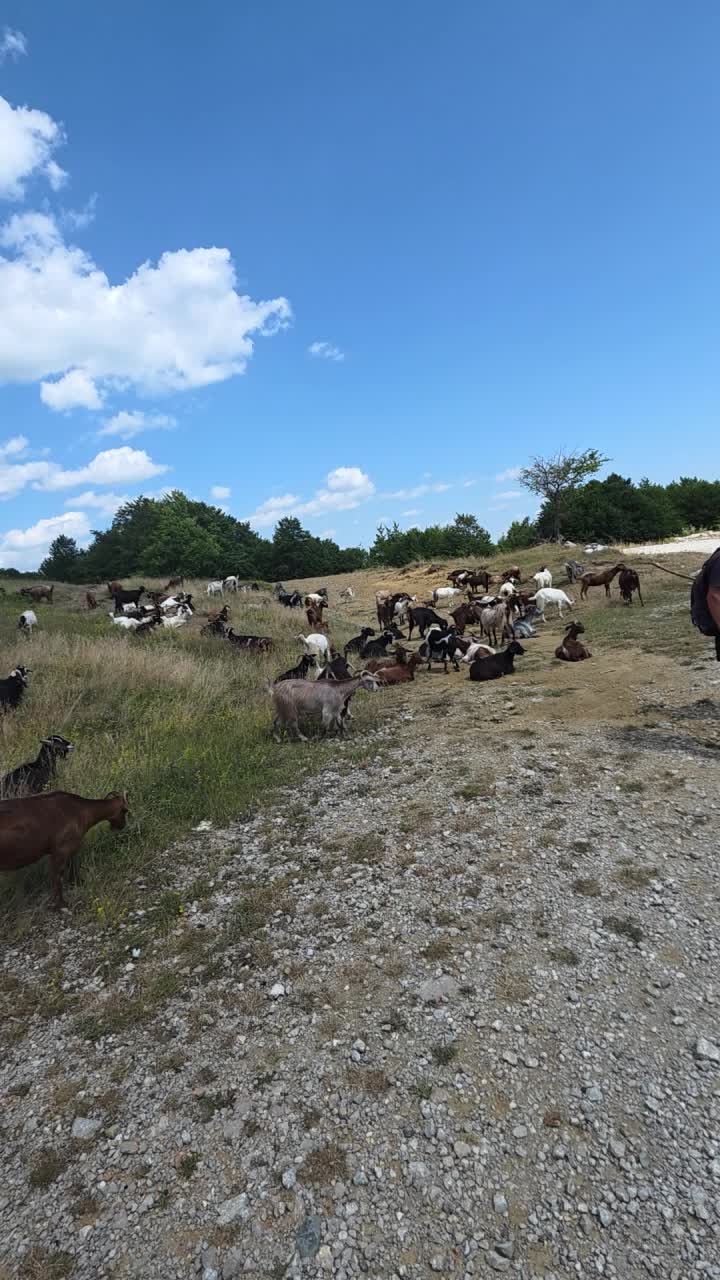 @Emilio92Albania