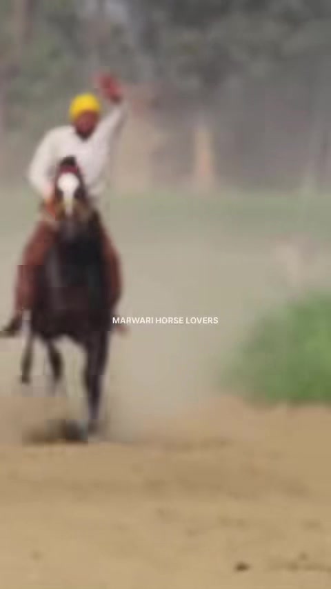 @Rai adrees Kharal