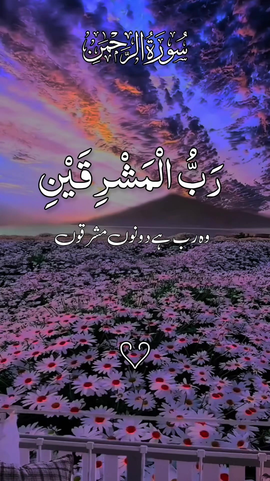 @❣️ Words of Allah ❣️