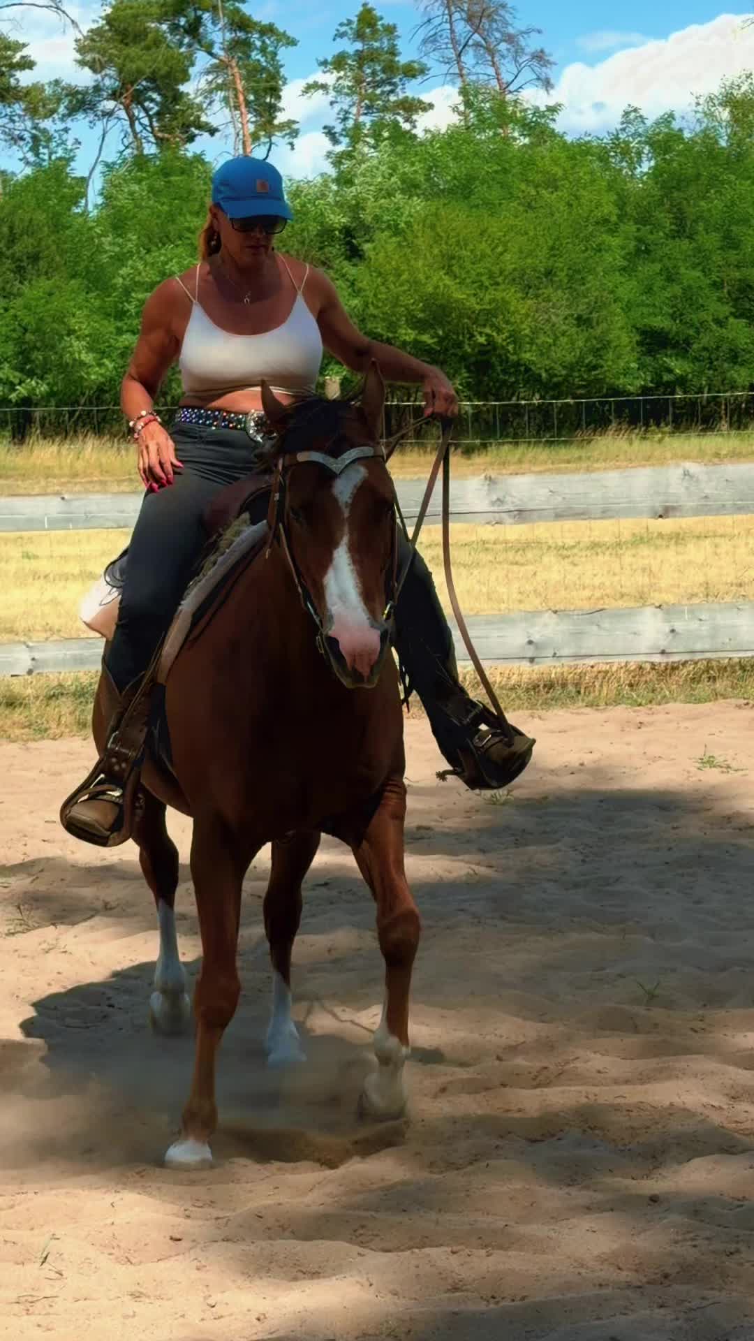 @Cestou Horsemanshipu