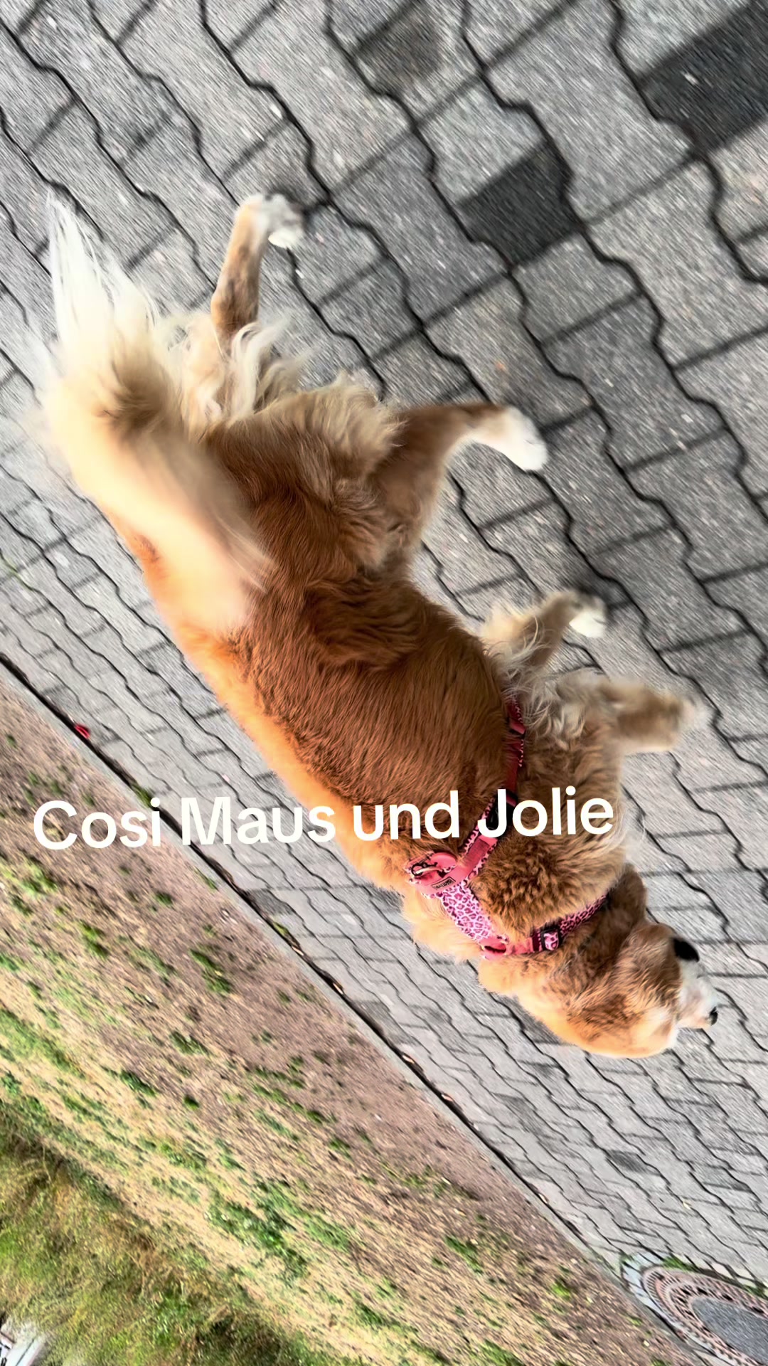 @Zehra Oplustil