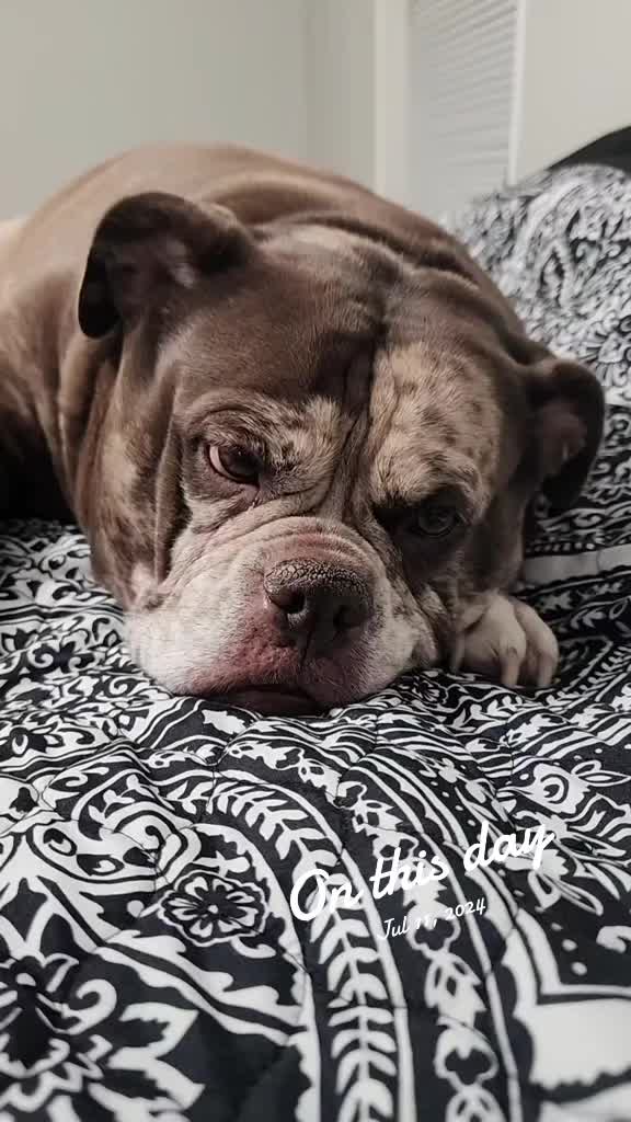 @Shawnie826❌️