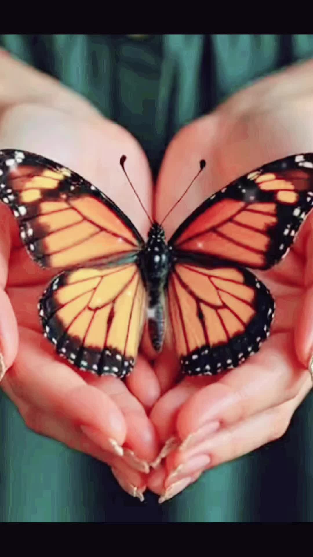 @Susycuban