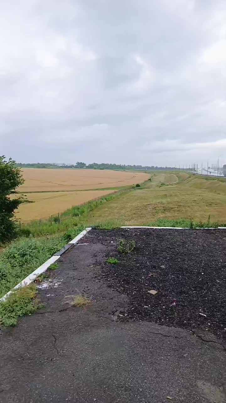 @ДИМОН