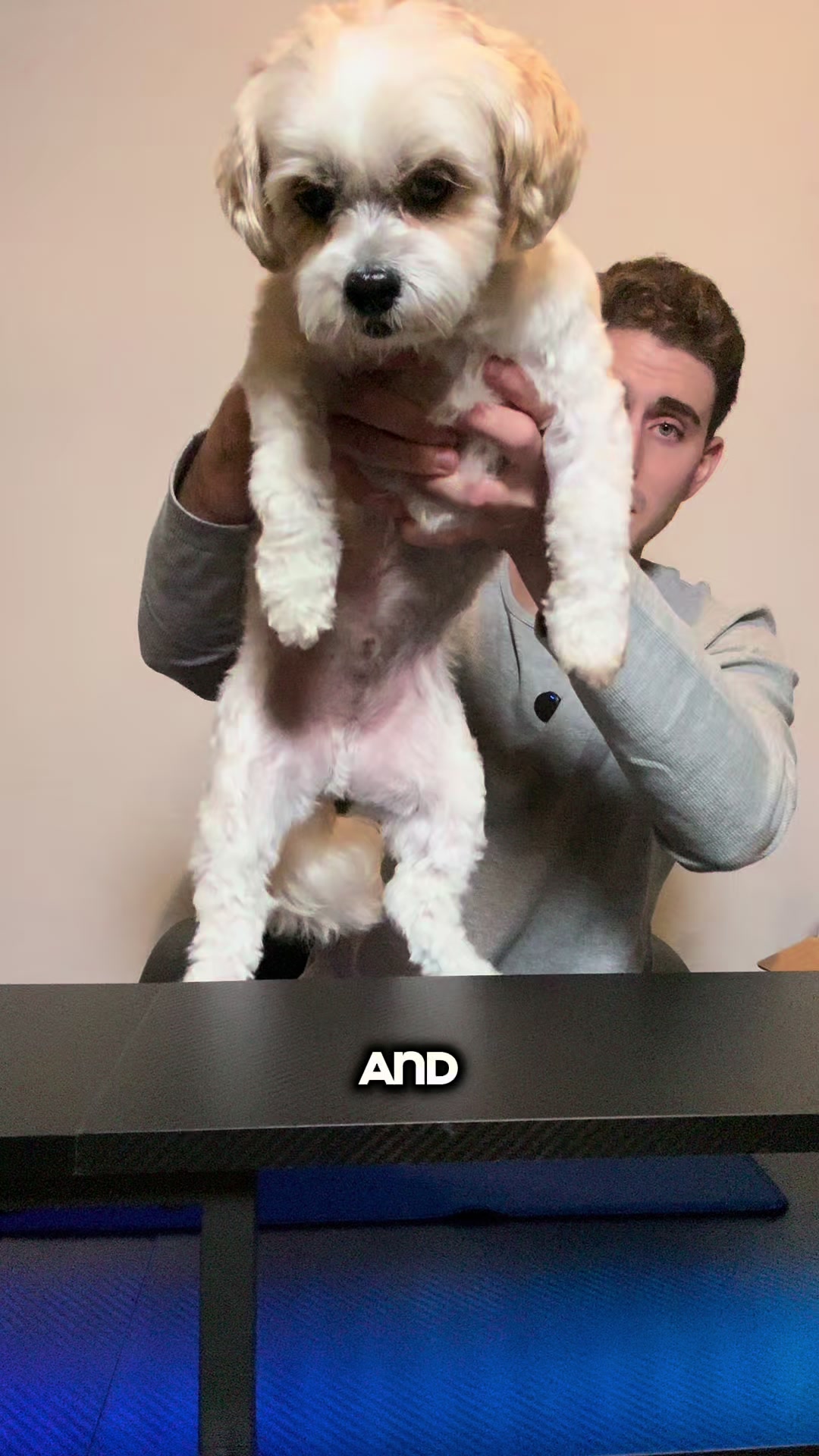 @contentcreator