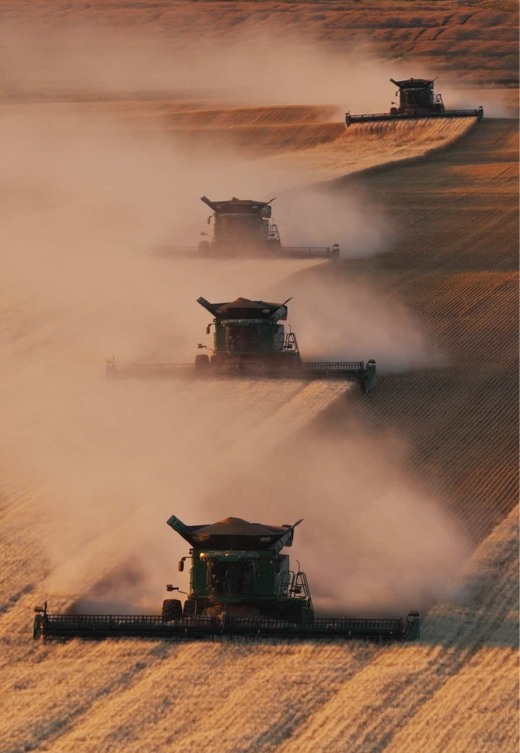 @Farm Watch