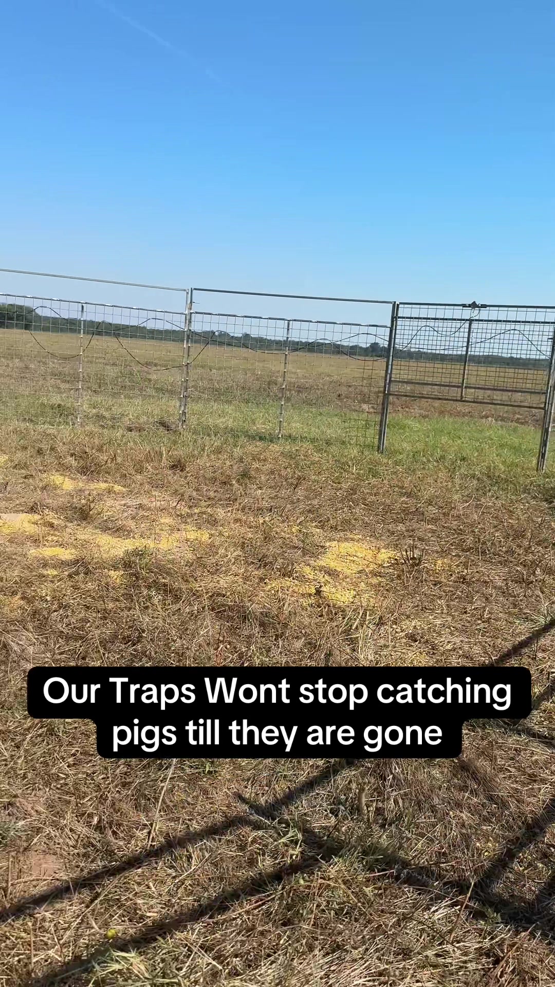 @Hog Brothers Custom Hog Traps