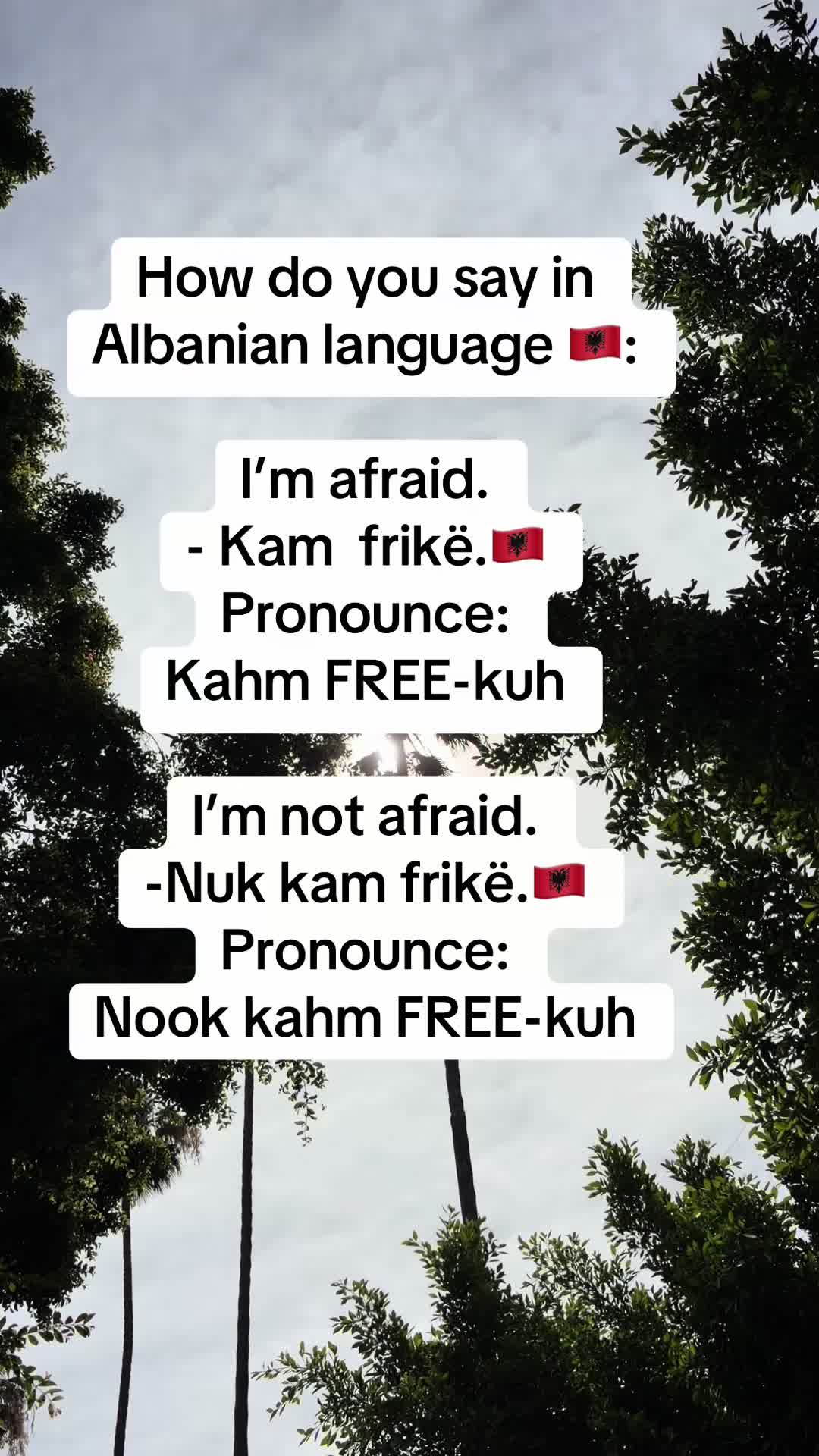 @Albana