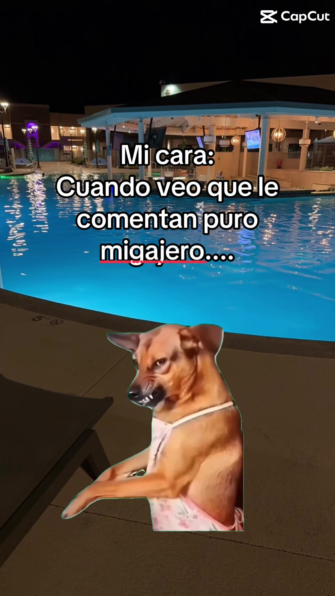 @Antitoxico❤️🔥