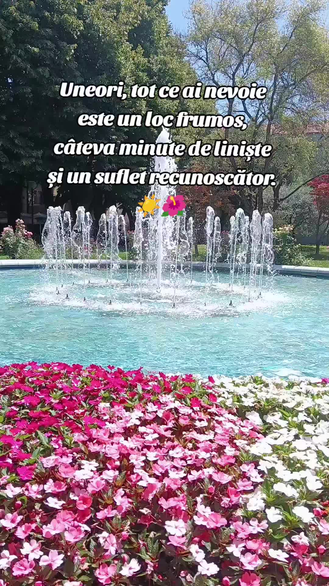 @Nely.oficial02