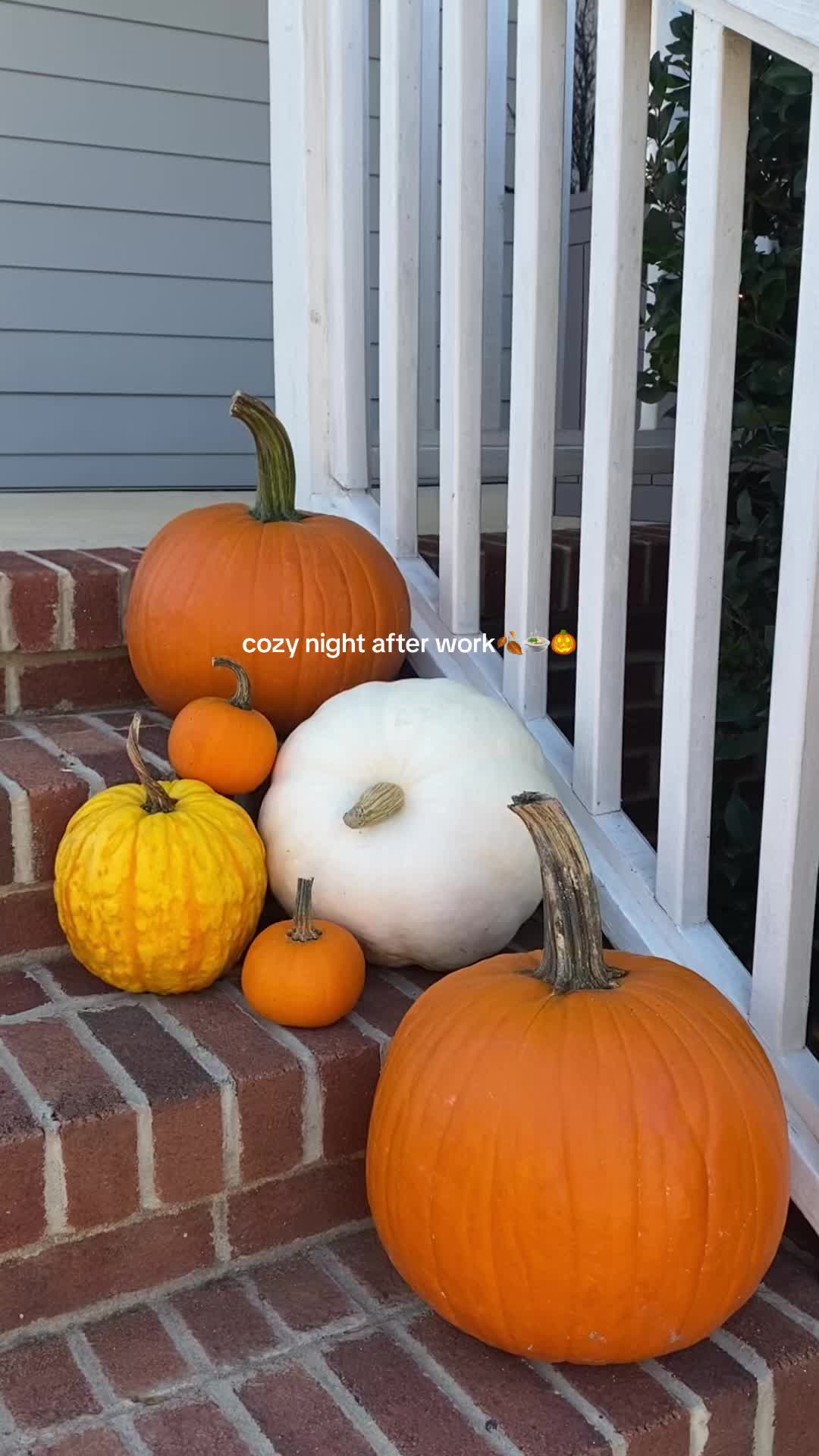 @carly