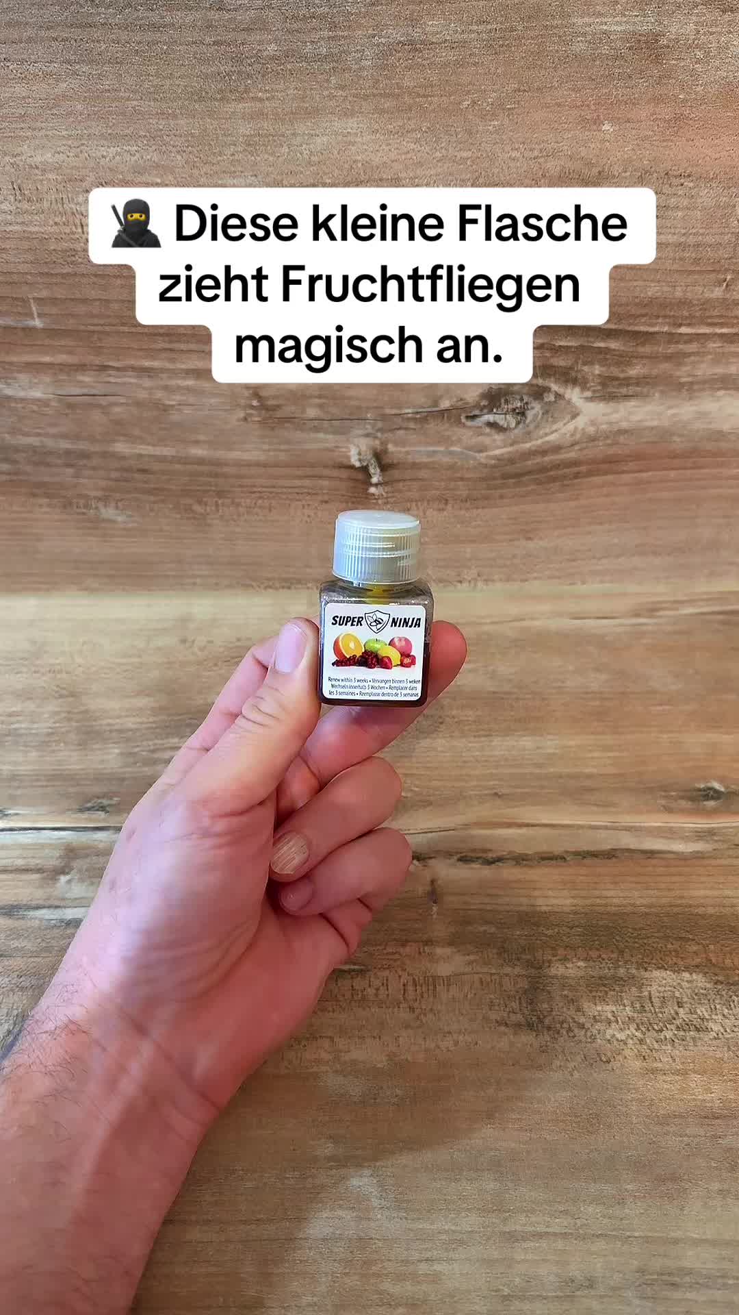 @Flo die Zimmerpflanze 🪴🪴