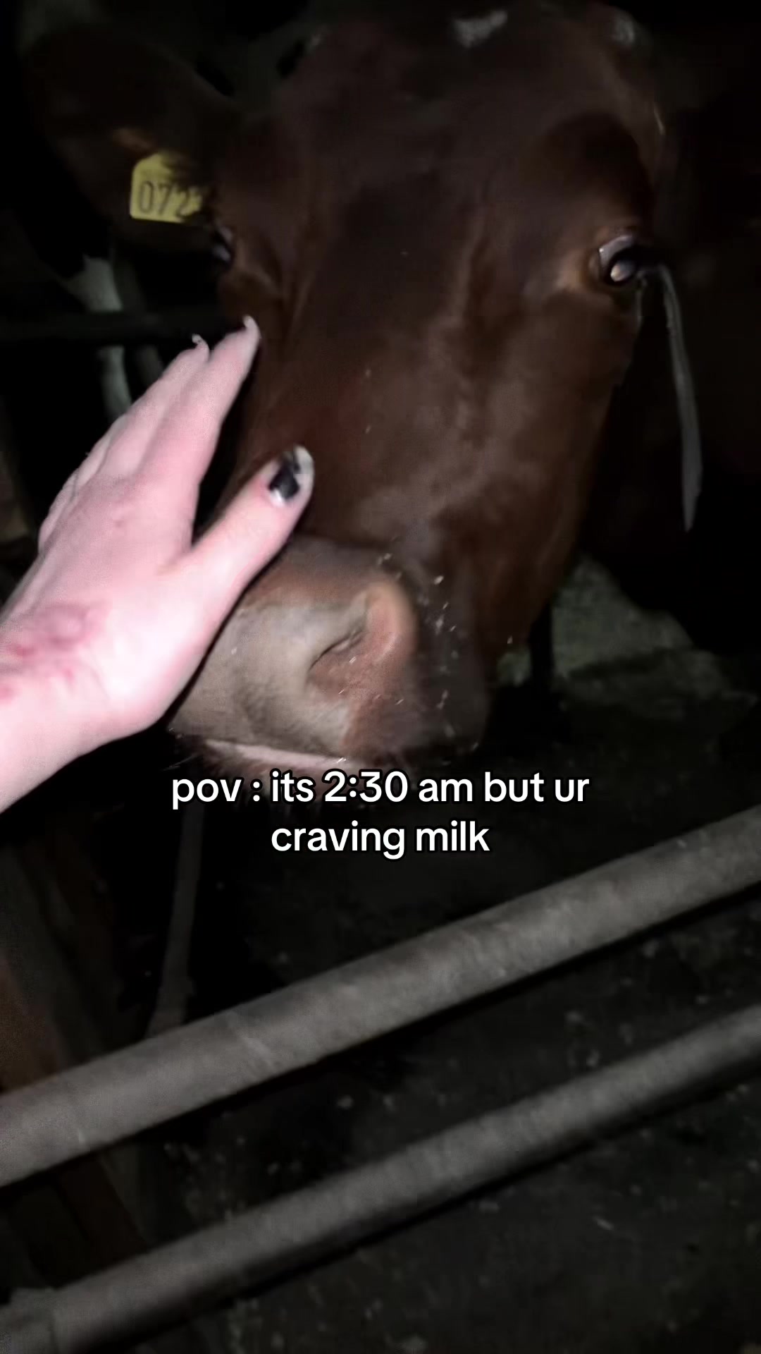 @ᴘʀɪɴᴄᴇꜱꜱ ʙᴜʙʙʟᴇᴄᴜᴍ 💗🫧