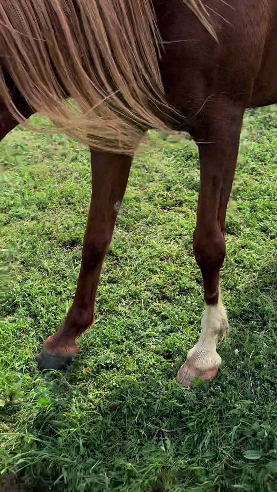 @MakvinStud