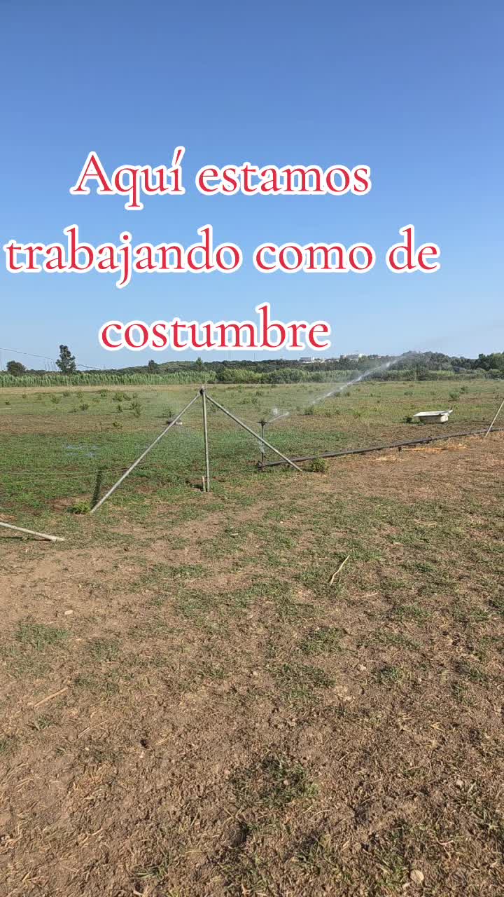 @@rinconlatino
