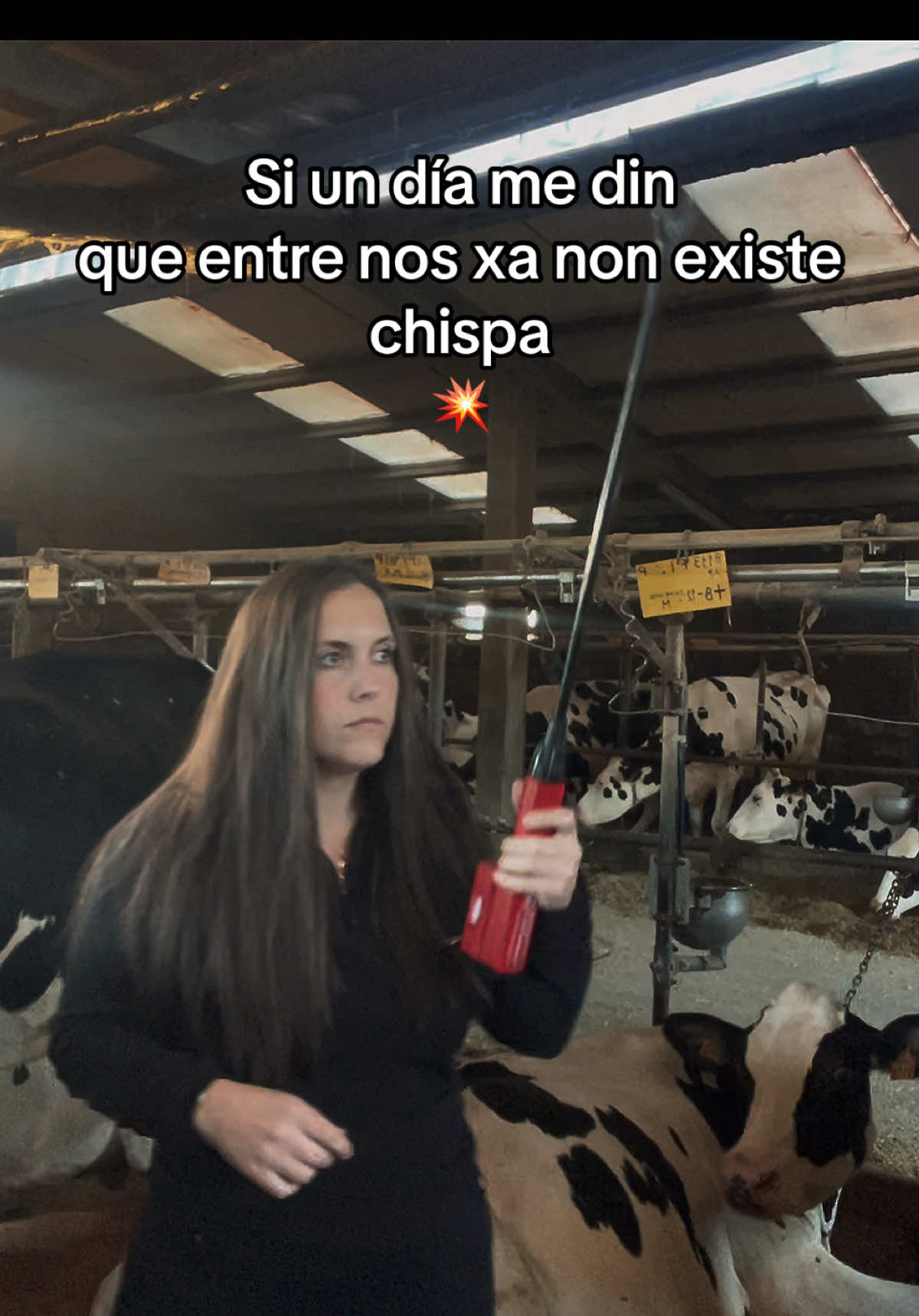 @Rocio Louzán Sambad