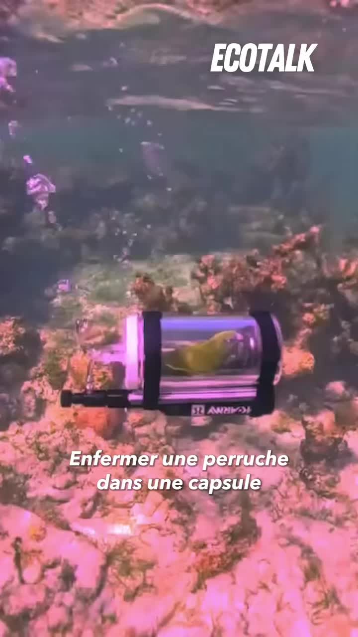 @Ecotalk