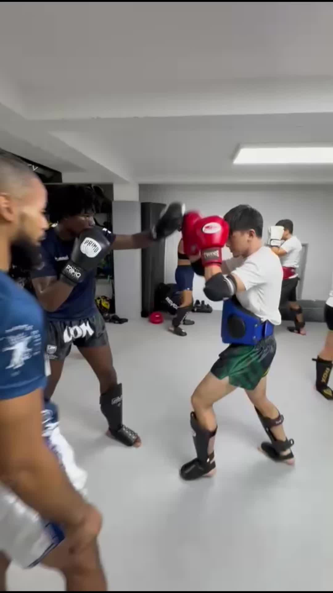 @Bfights