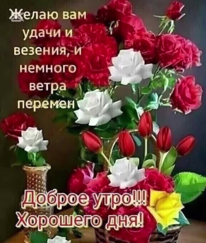 @Elena