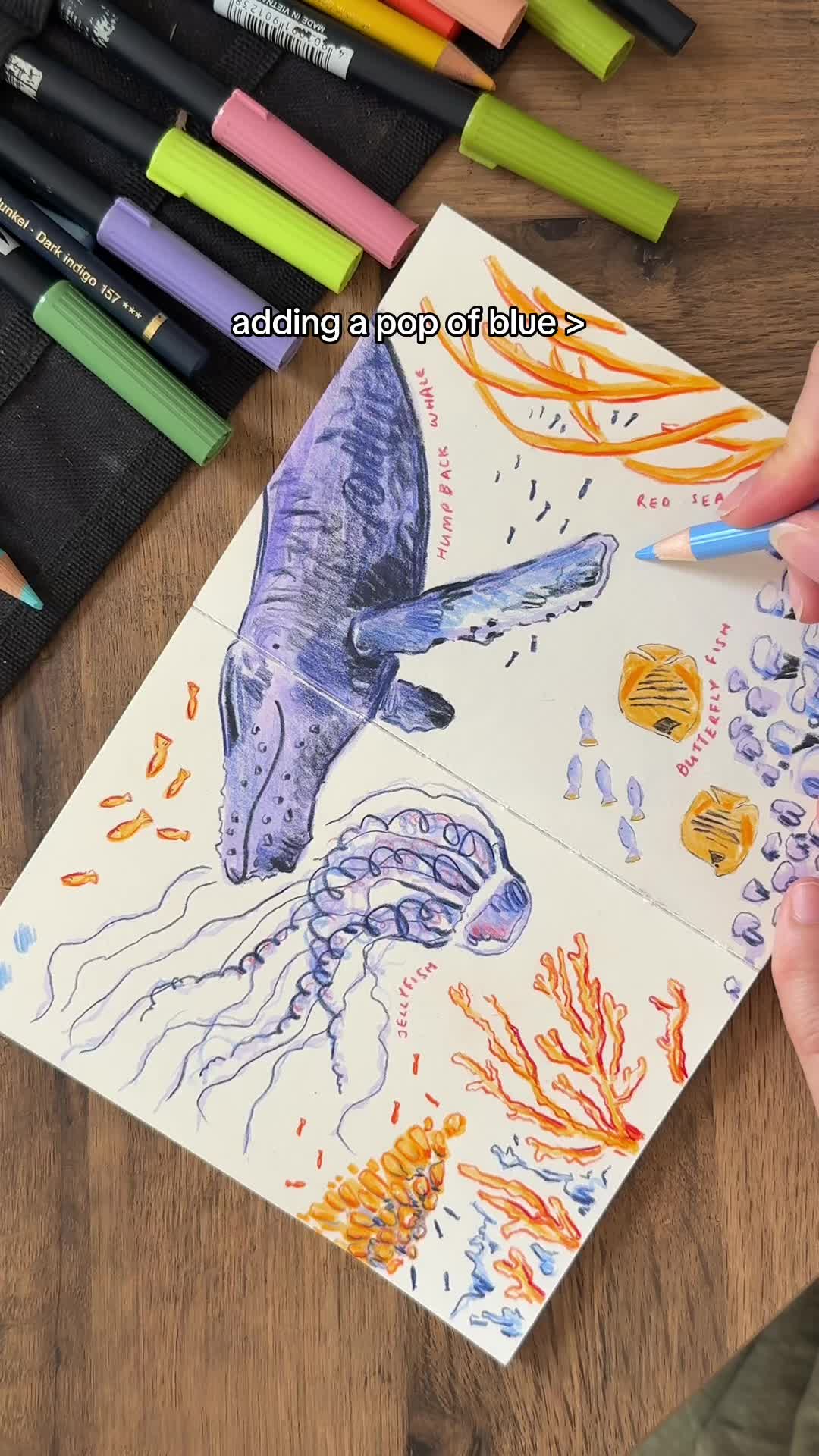 @Ella Ruth - Travel Illustrator