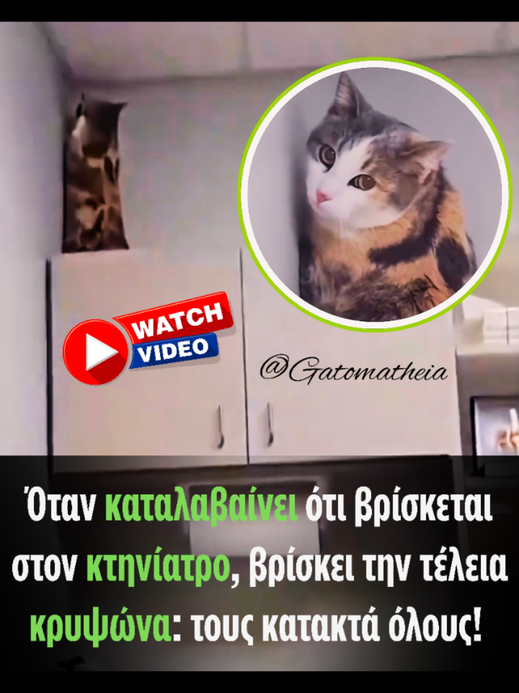@Γατομάθεια
