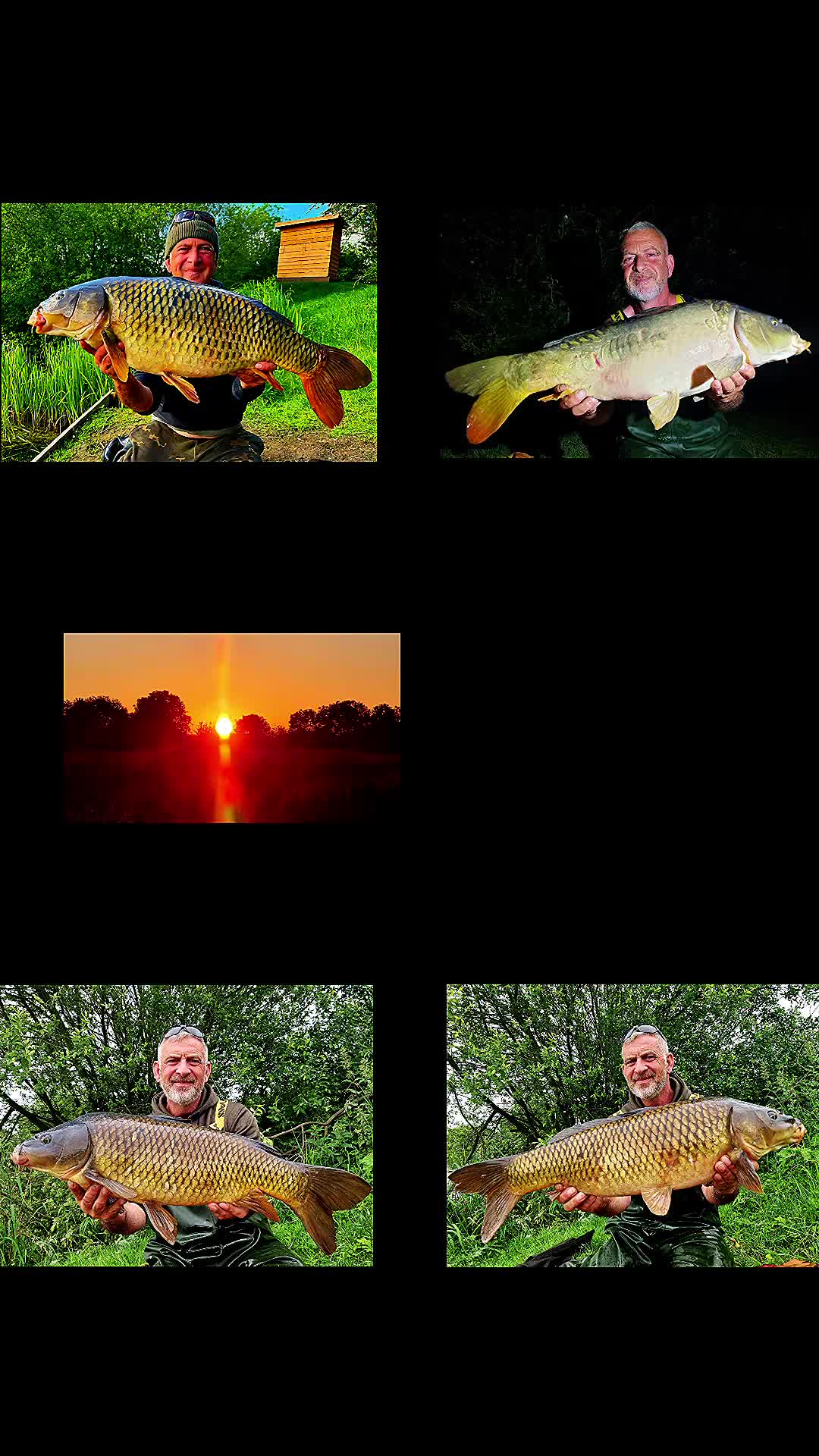 @BIO BAITS