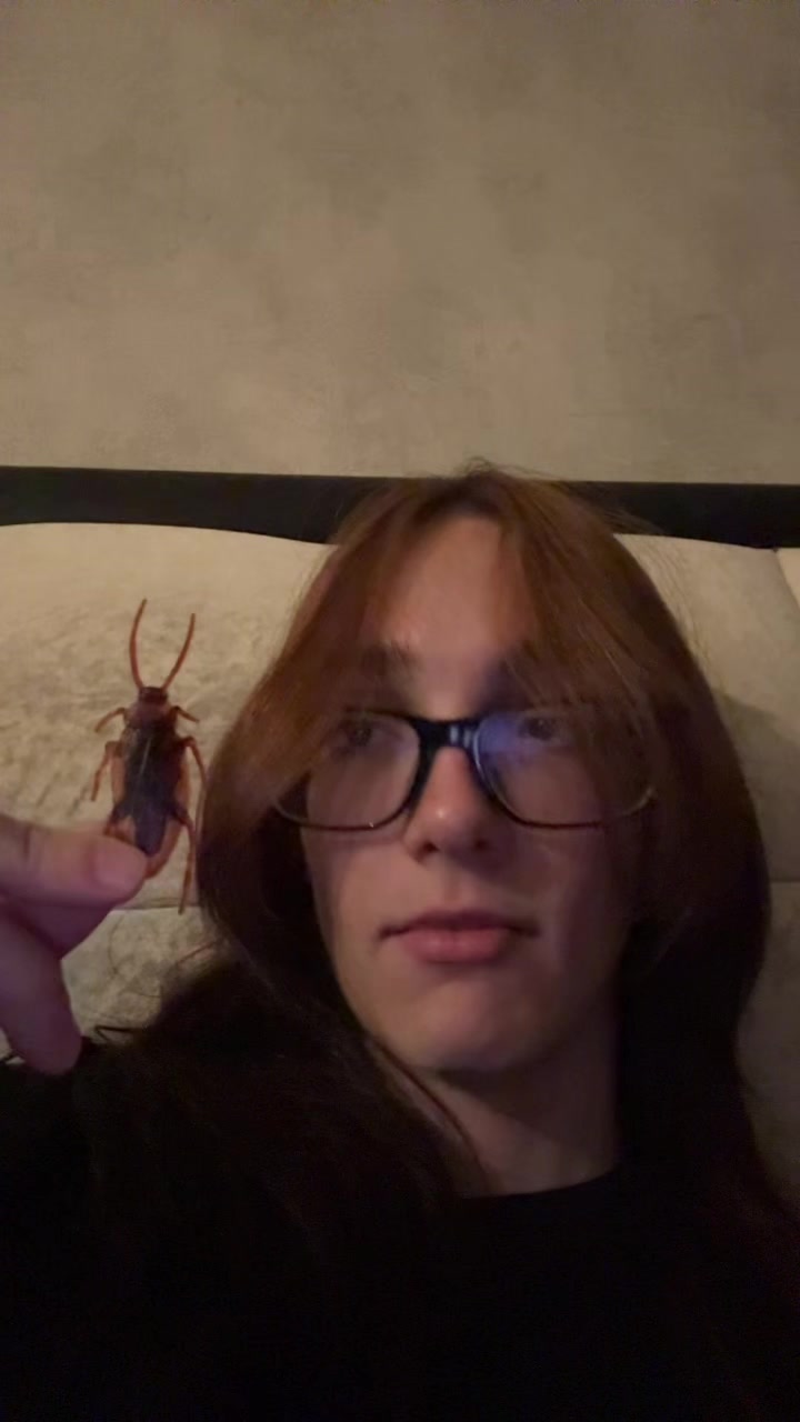 @макс котенко