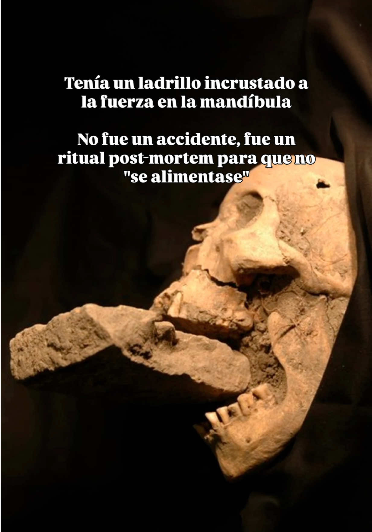 @El Cubil de Peter