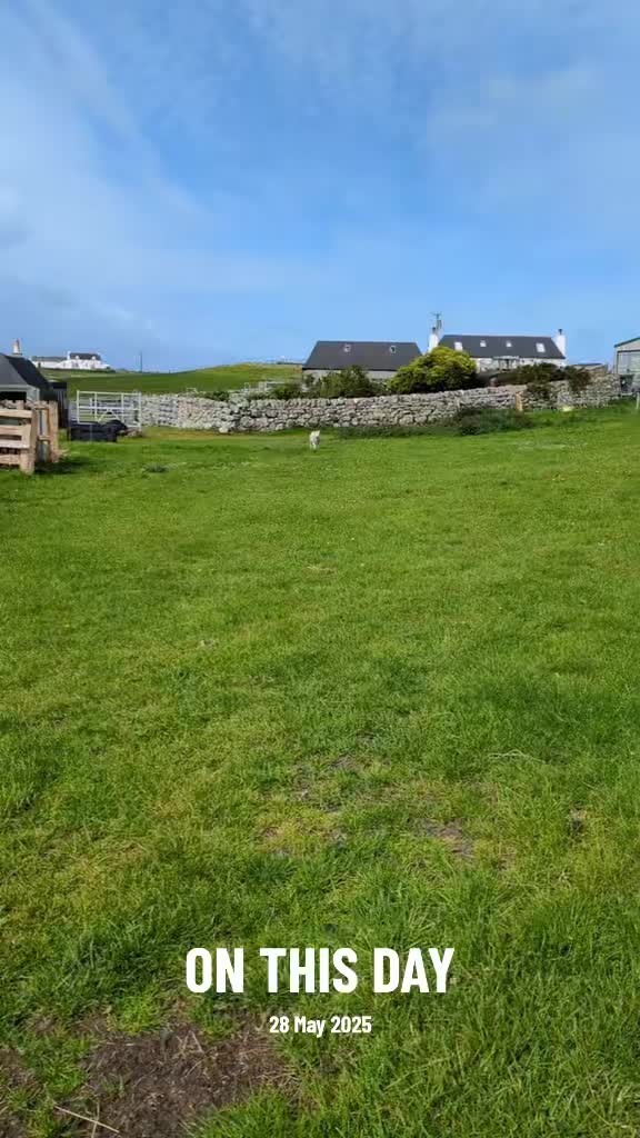 @Tiree Tea