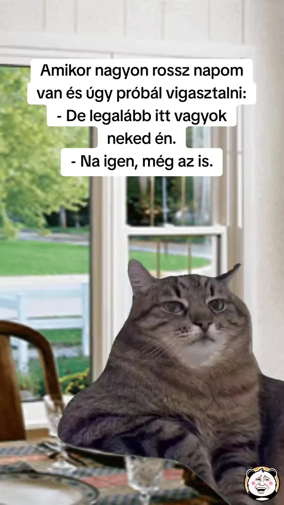@🐼 Po&eacute;nPanda 🐼