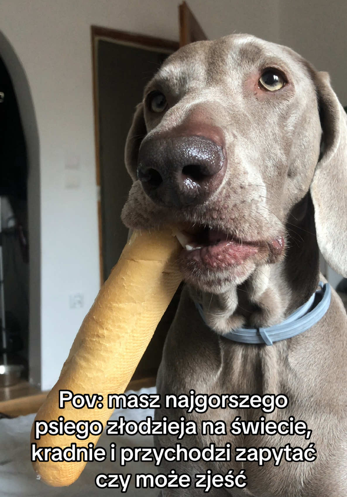 @lola | ig: heydoggyblog