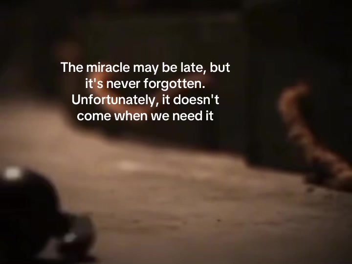 @PRINCE🧃🏝️