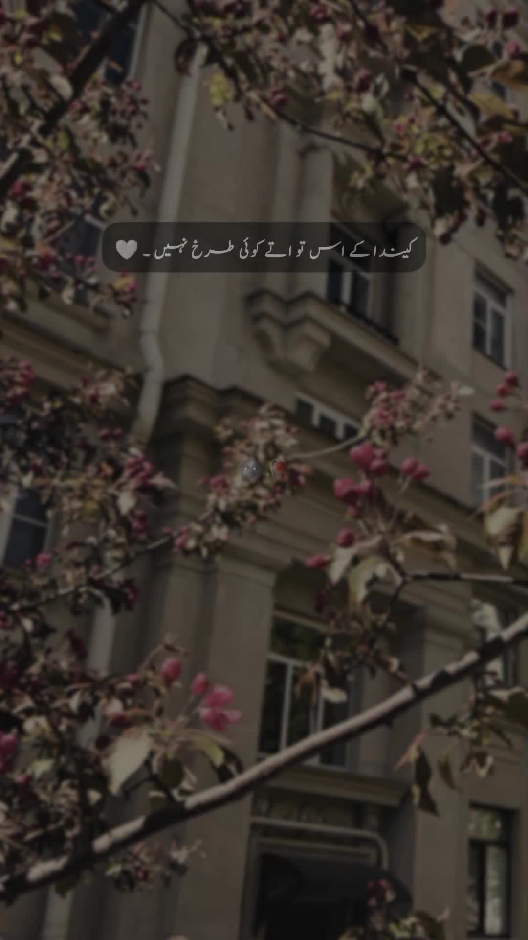 @𝐒 𝐚 𝐌 𝐢 🍂🫀