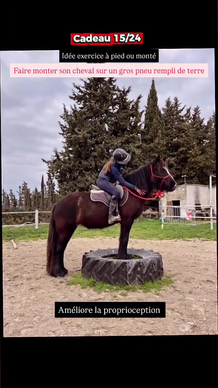 @Ranch Ethic étho