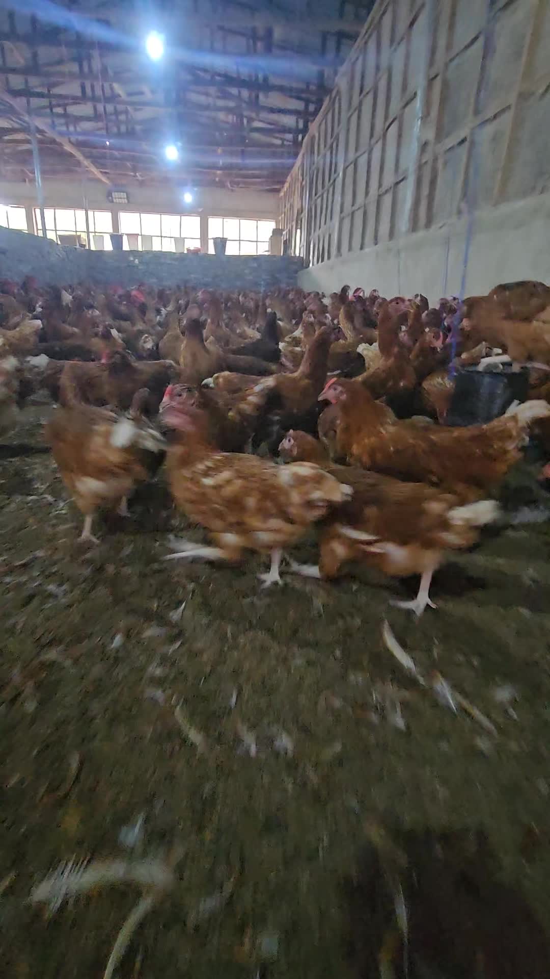@thetri farms